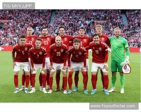 回顾丹麦足球辉煌历史的明星阵容与传奇球员名单